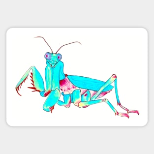 Blue Mantis Magnet